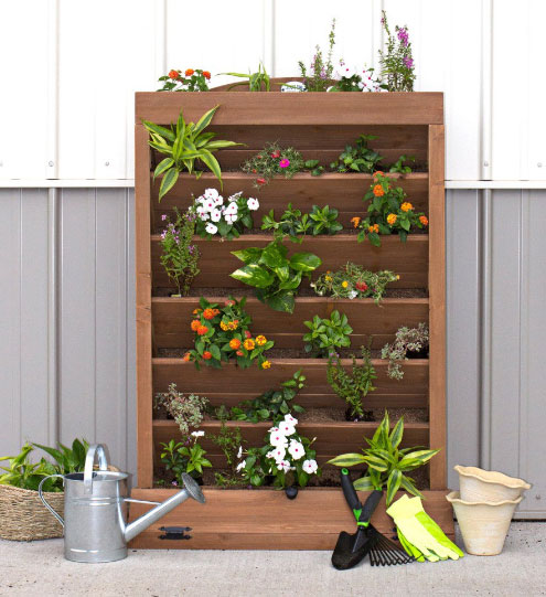 Why You Should Have Your Own Garden!
